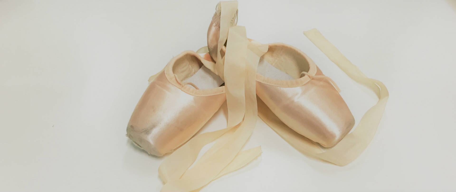 Anna pavlova pointe shoes deals